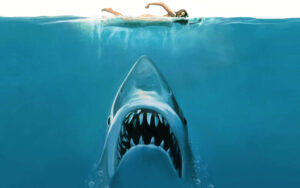 Najlepsze filmy o rekinach. 10 filmów wartych zobaczenia